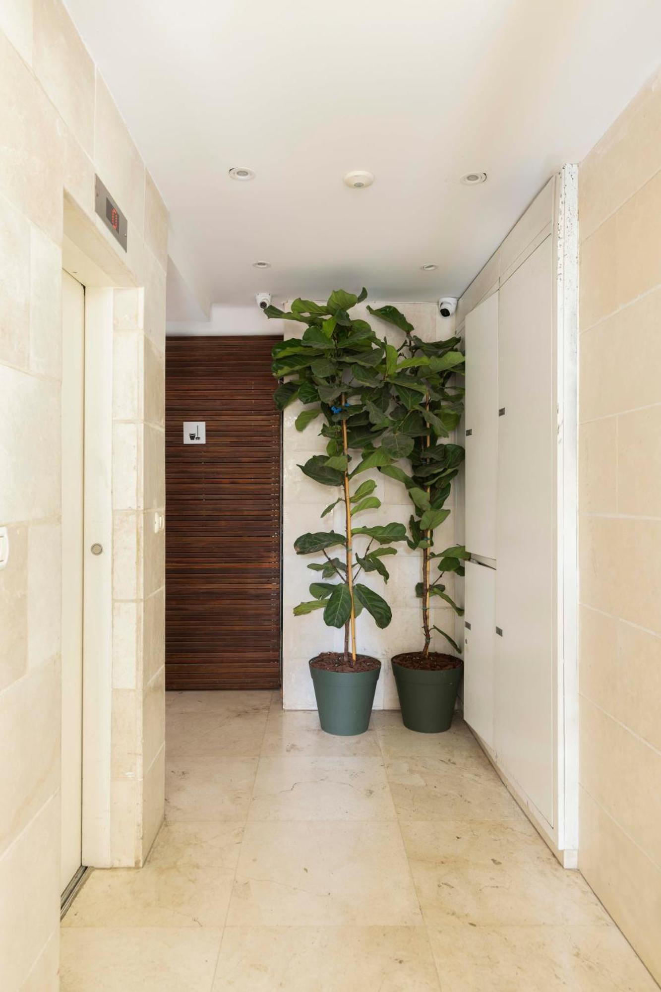 The Beach Life Complex - By Localz Group เทลอาวีฟ ภายนอก รูปภาพ